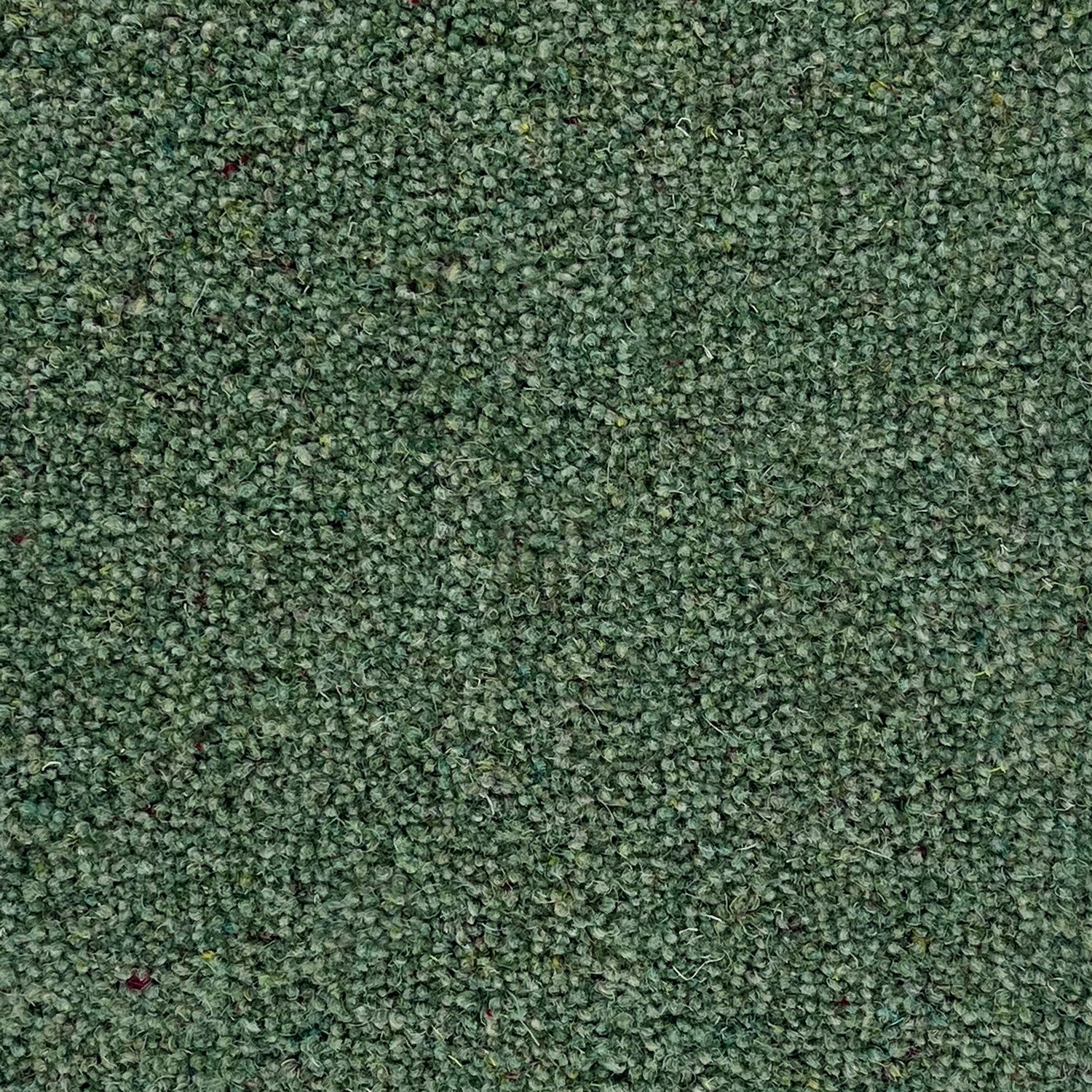 Penthouse Carpets 50oz Vermont 80% Wool Blend Twist Pile Carpet
