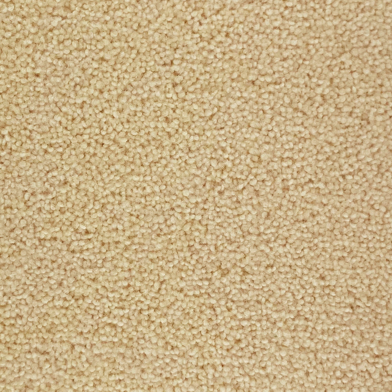 Penthouse Carpets 40oz Wentworth 80% Wool Blend Twist Pile Carpet