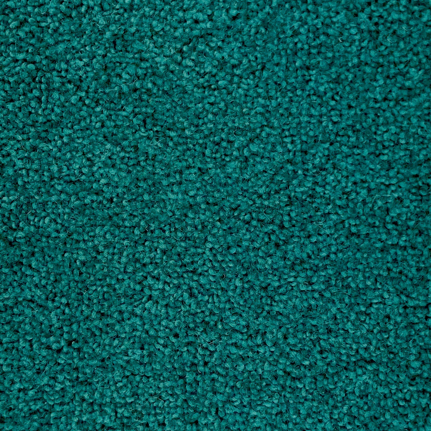 Penthouse Carpets 40oz Wentworth 80% Wool Blend Twist Pile Carpet