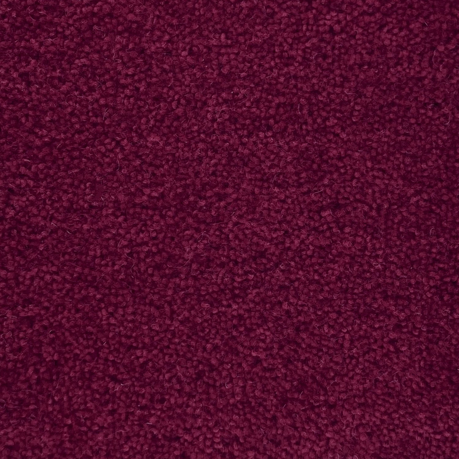 Penthouse Carpets 40oz Wentworth 80% Wool Blend Twist Pile Carpet