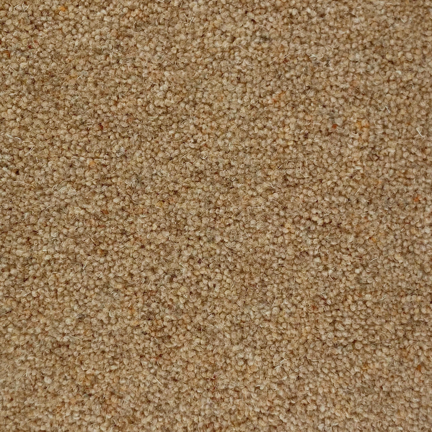 Penthouse Carpets 40oz Wentworth 80% Wool Blend Twist Pile Carpet