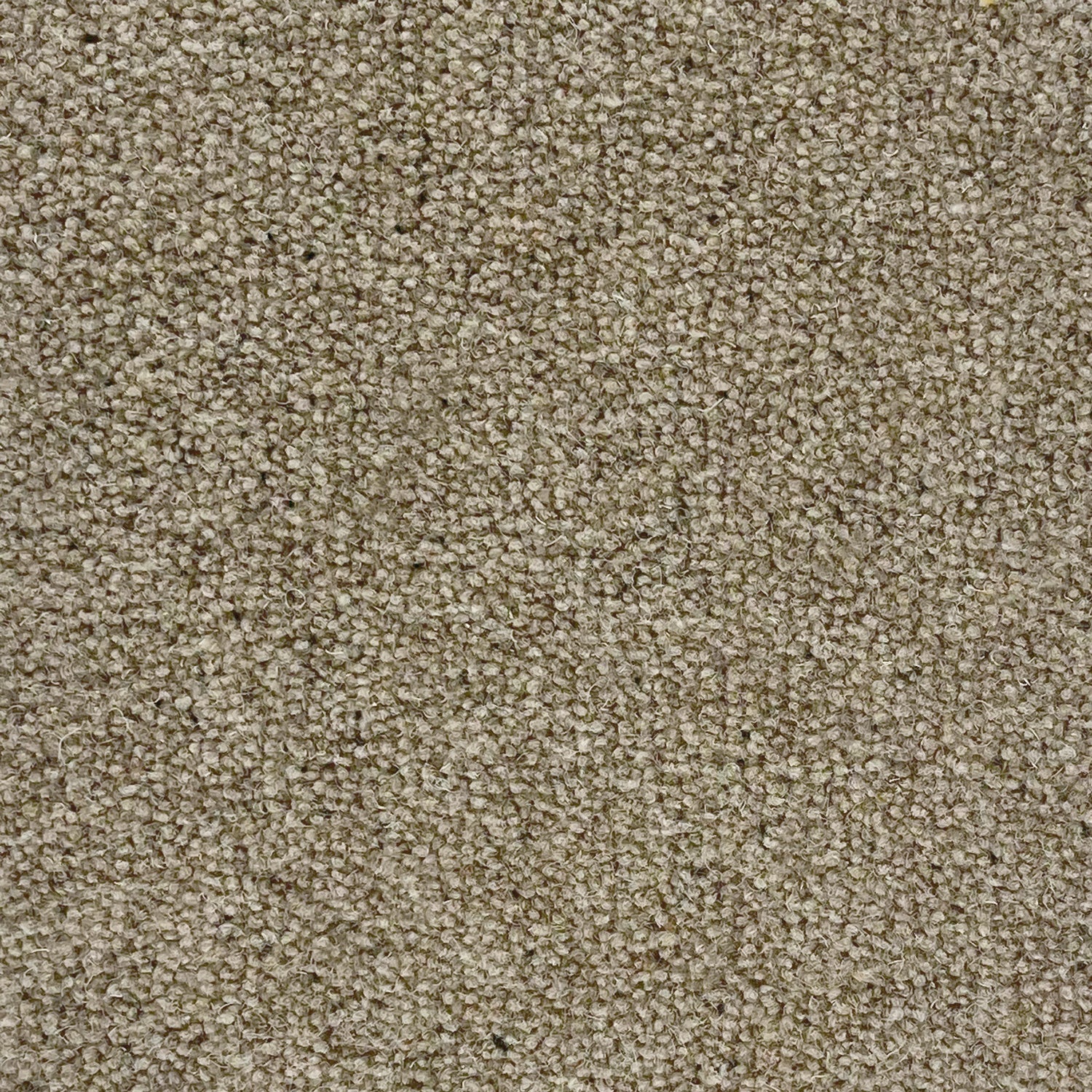 Penthouse Carpets 40oz Seasons 80% Wool Blend Twist Pile Carpet