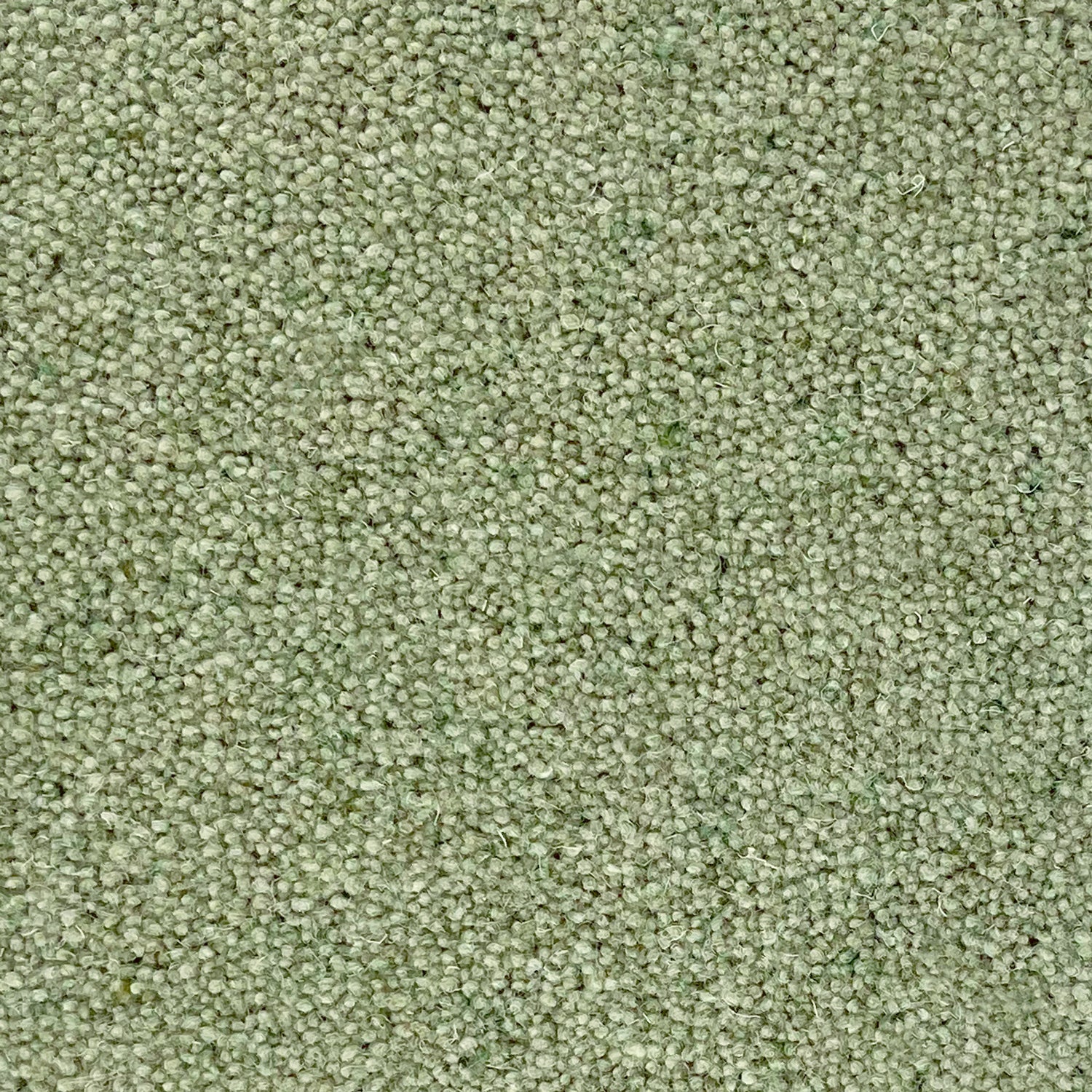 Penthouse Carpets 40oz Seasons 80% Wool Blend Twist Pile Carpet