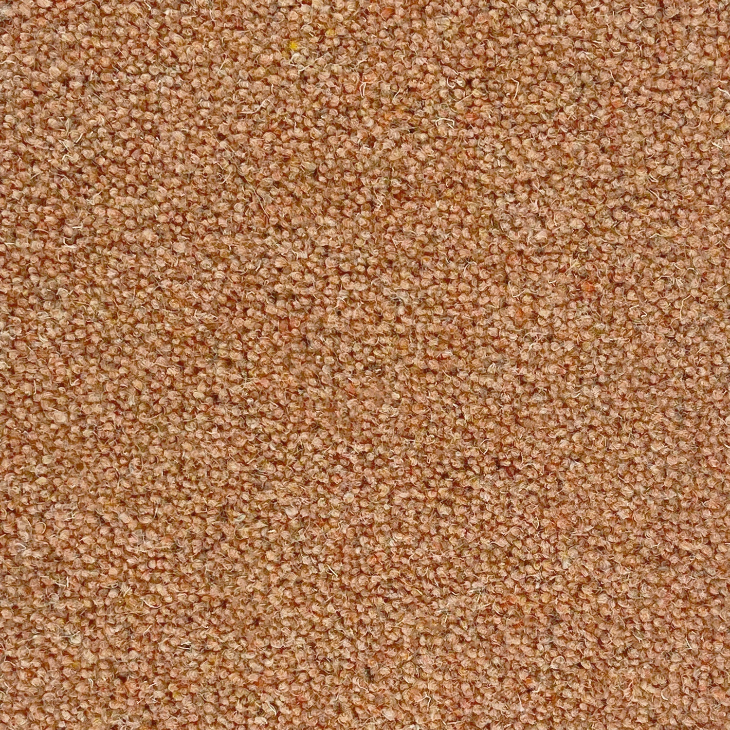 Penthouse Carpets 40oz Seasons 80% Wool Blend Twist Pile Carpet