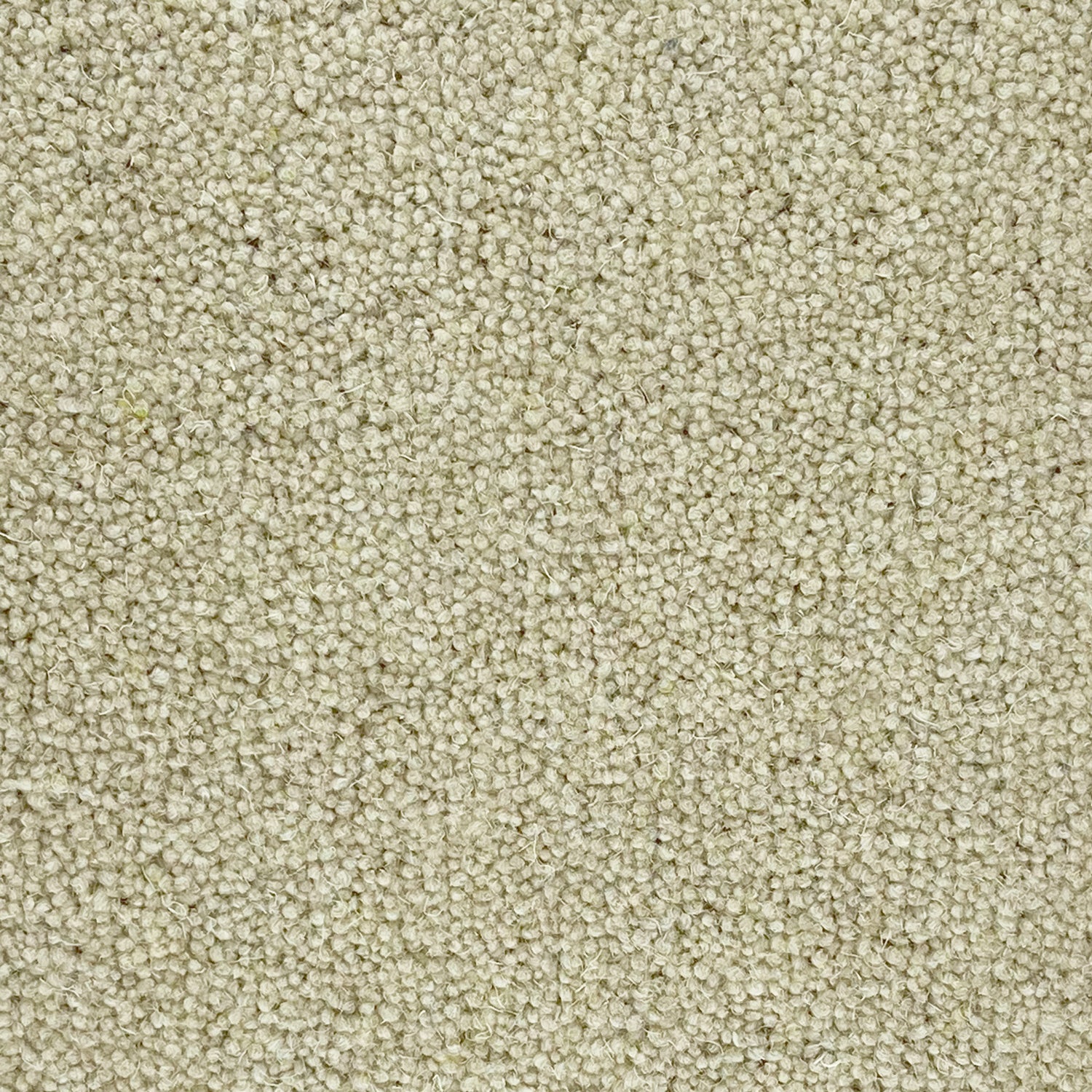 Penthouse Carpets 40oz Seasons 80% Wool Blend Twist Pile Carpet