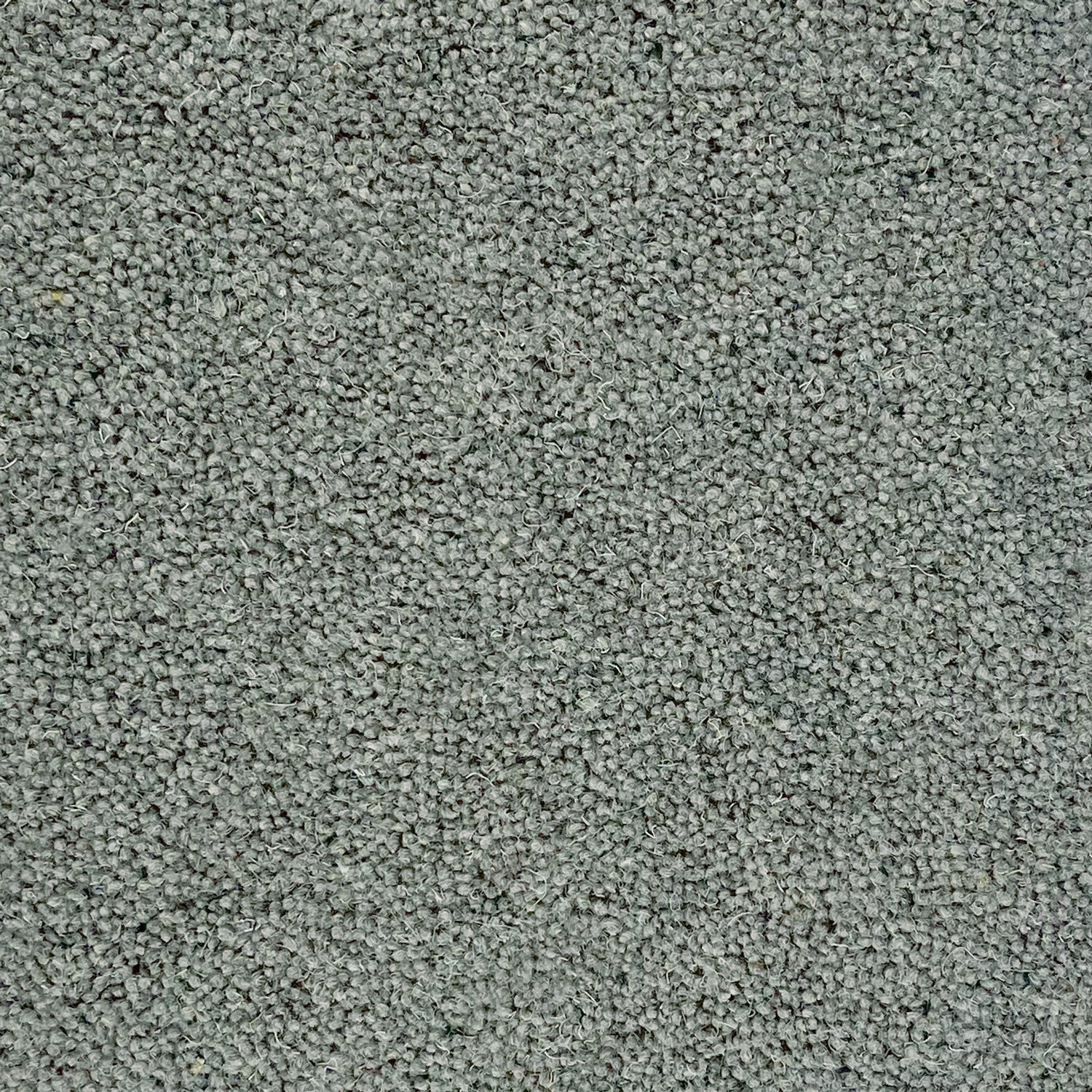 Penthouse Carpets 40oz Seasons 80% Wool Blend Twist Pile Carpet