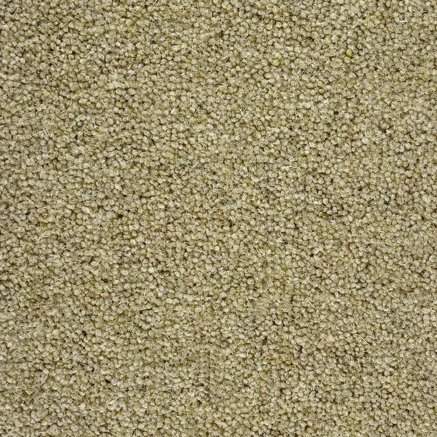 Penthouse Carpets 40oz Seasons 80% Wool Blend Twist Pile Carpet