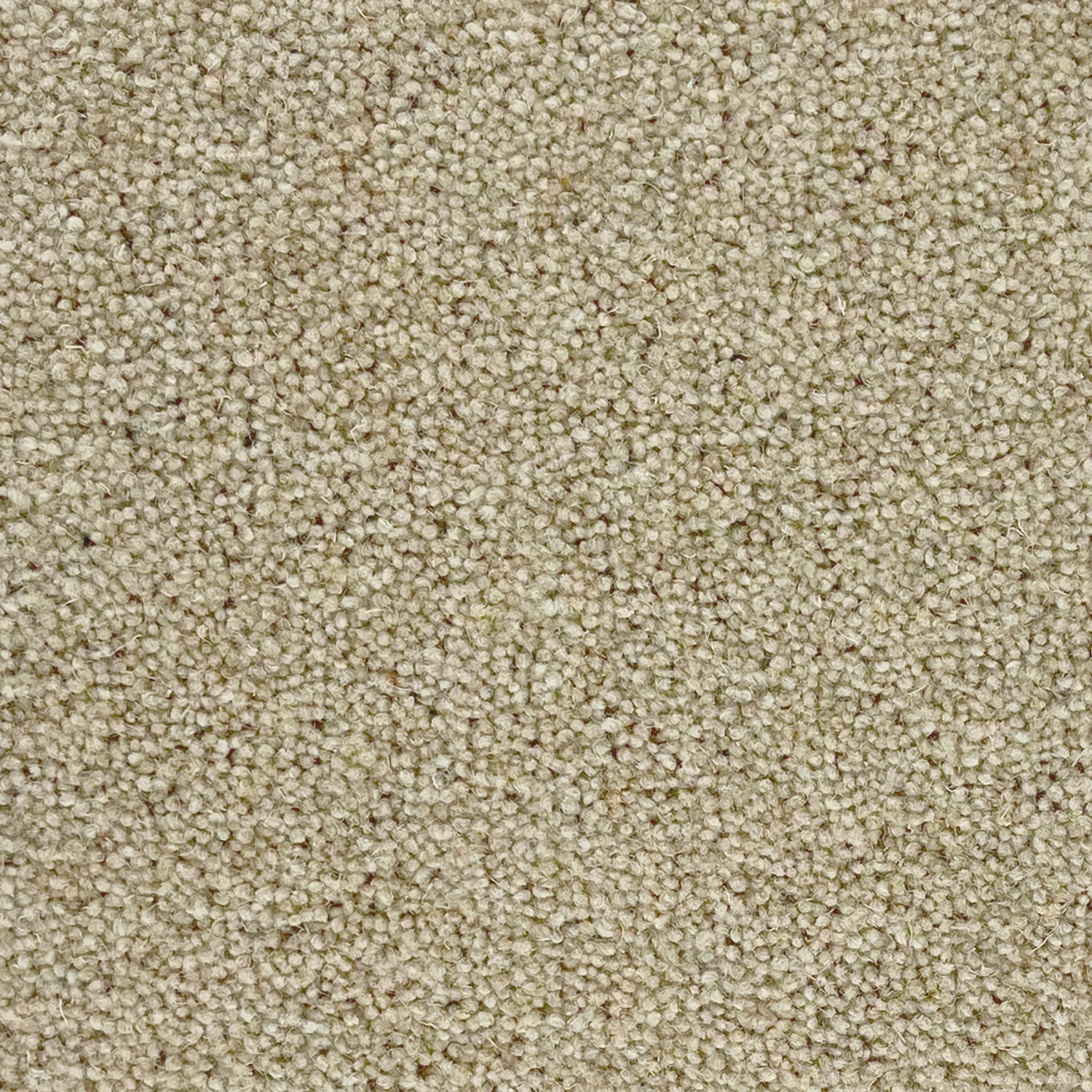 Penthouse Carpets 40oz Seasons 80% Wool Blend Twist Pile Carpet