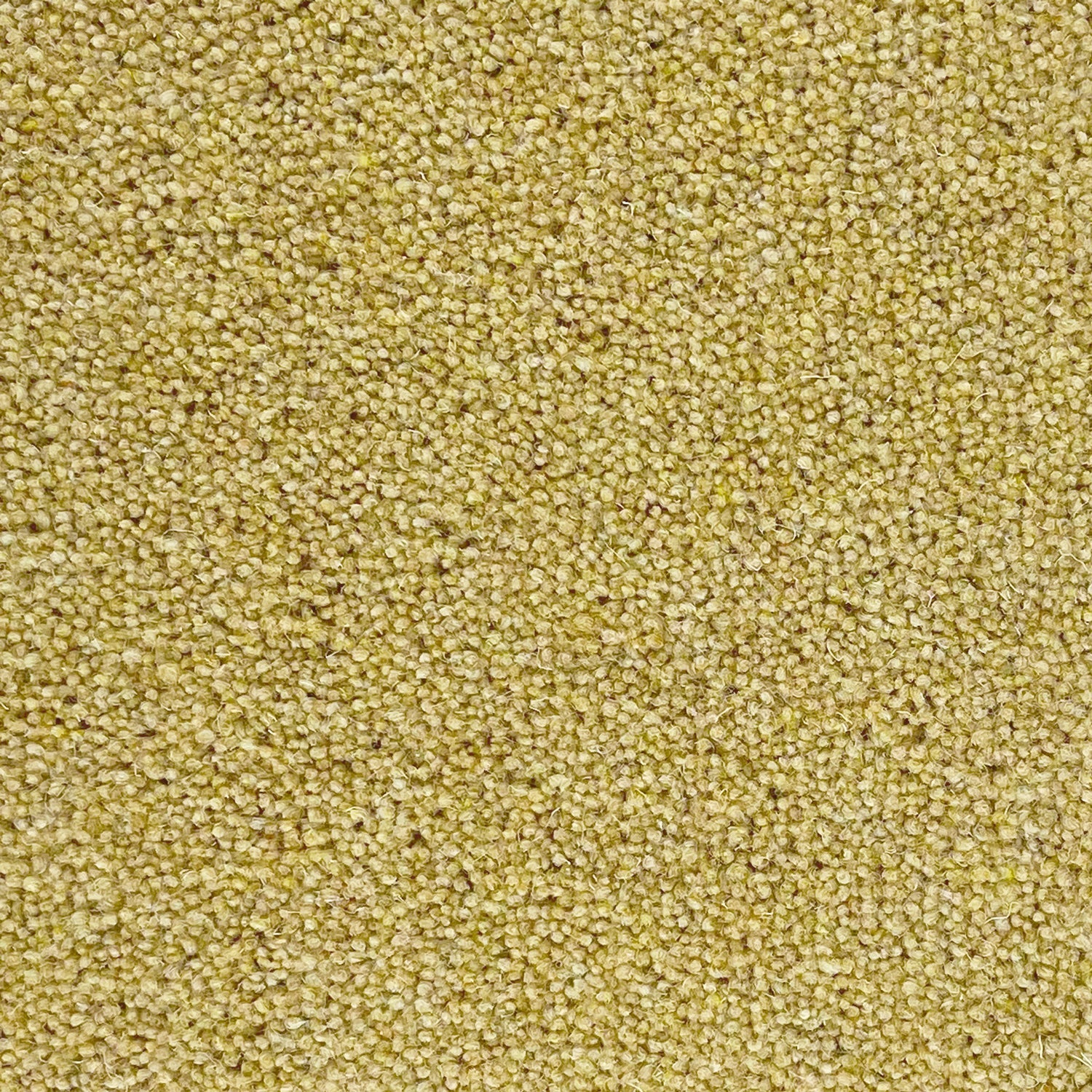 Penthouse Carpets 40oz Seasons 80% Wool Blend Twist Pile Carpet