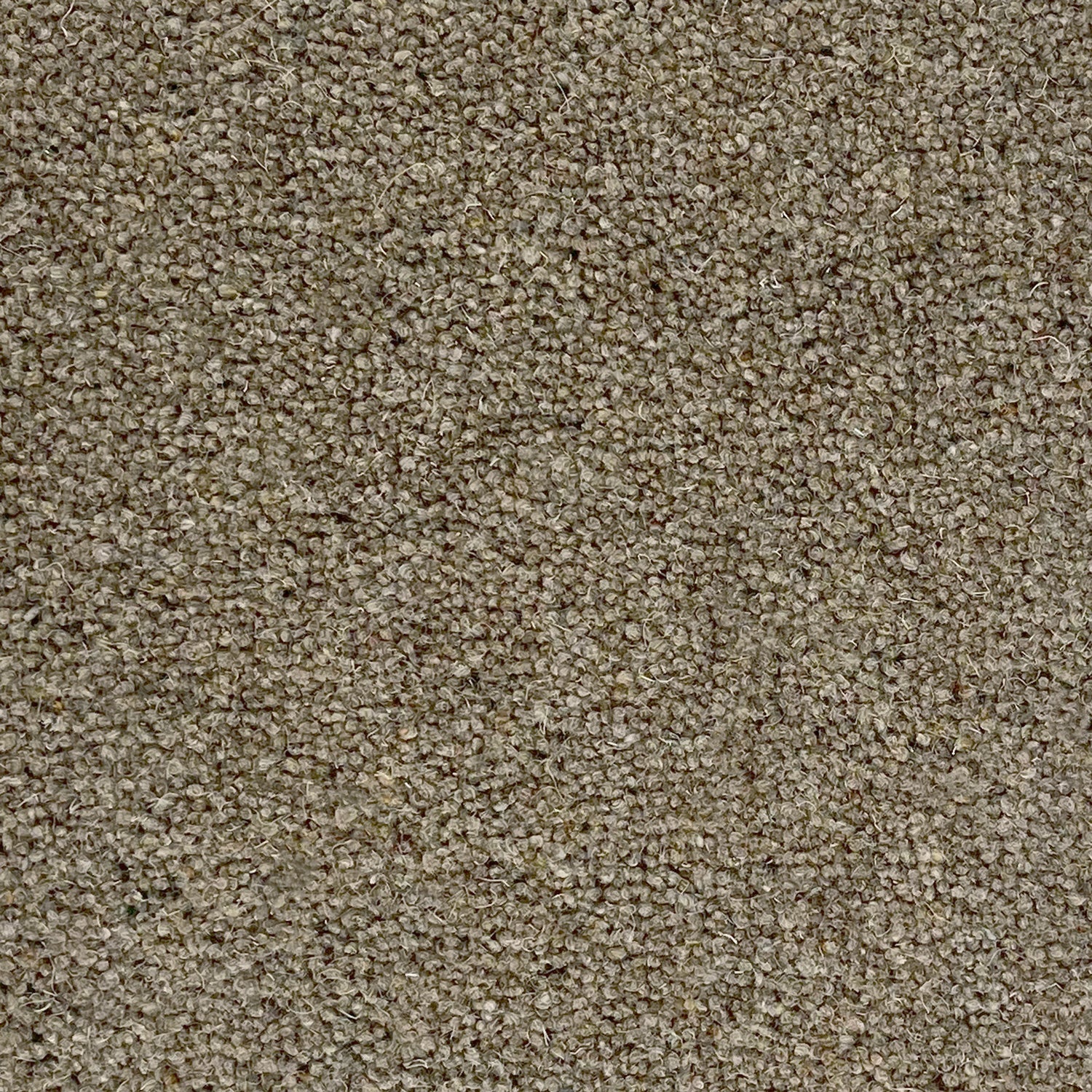 Penthouse Carpets 40oz Seasons 80% Wool Blend Twist Pile Carpet