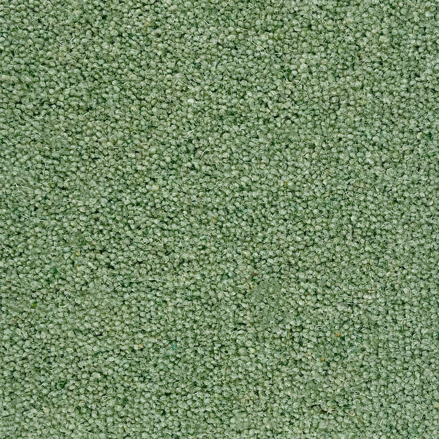 Penthouse Carpets 40oz Seasons 80% Wool Blend Twist Pile Carpet