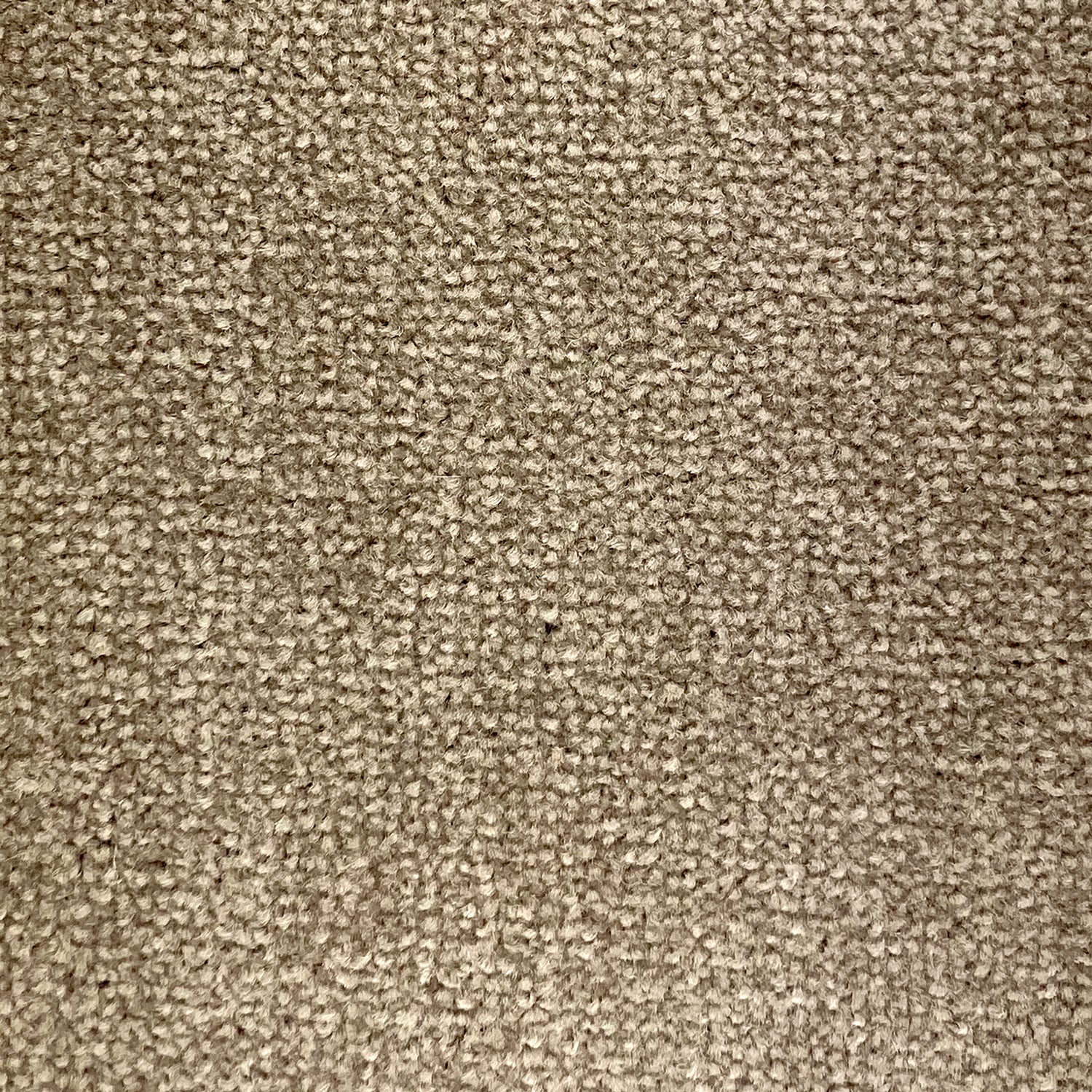 CFS Moonlight Twist Carpet