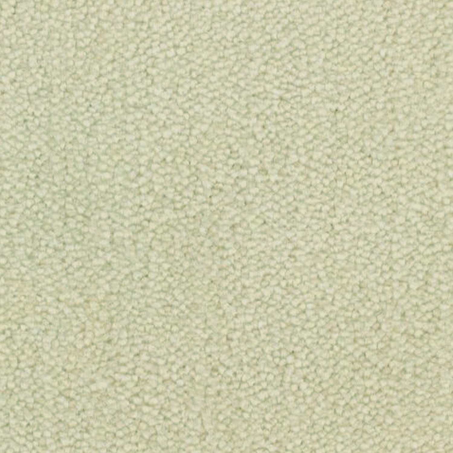 Telenzo Breeze 100% Nylon Velvet Carpet