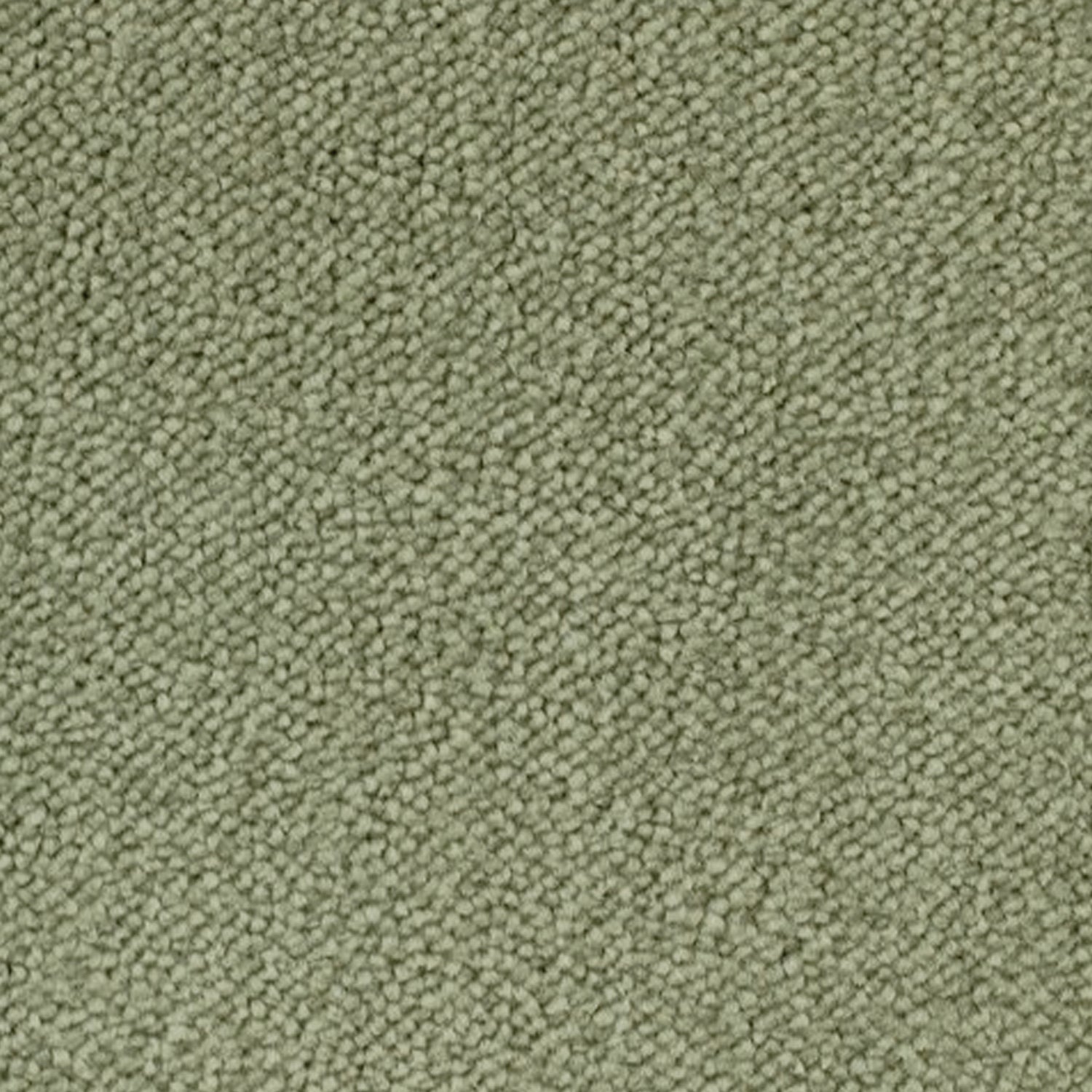 Telenzo Breeze 100% Nylon Velvet Carpet