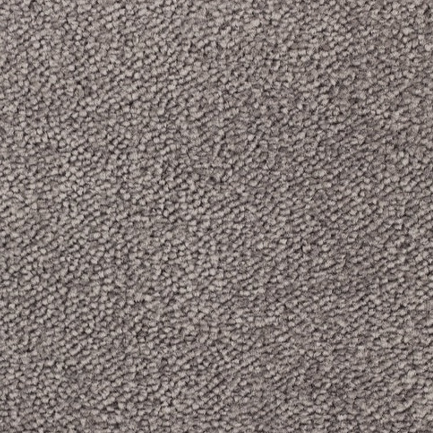 Telenzo Breeze 100% Nylon Velvet Carpet