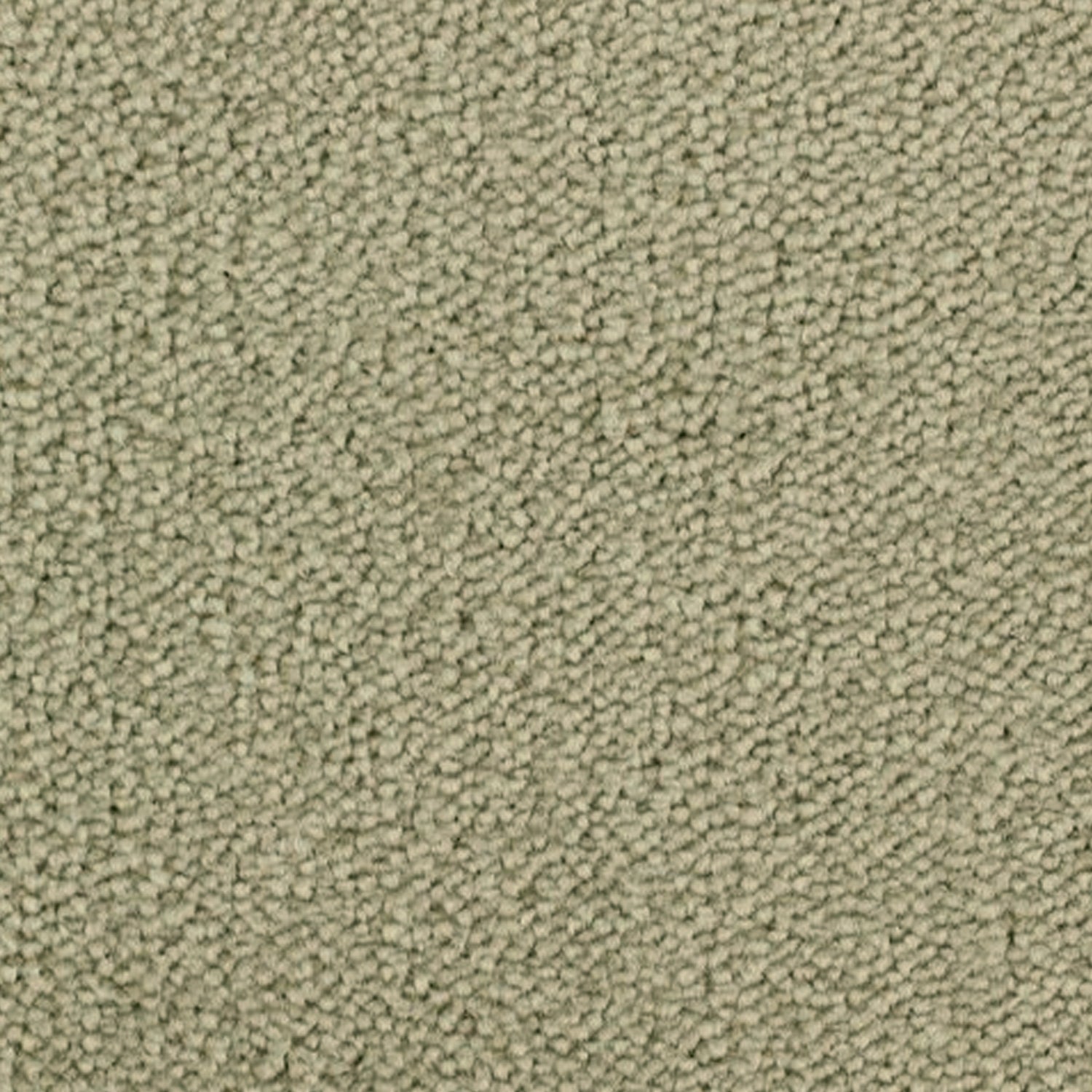 Telenzo Breeze 100% Nylon Velvet Carpet