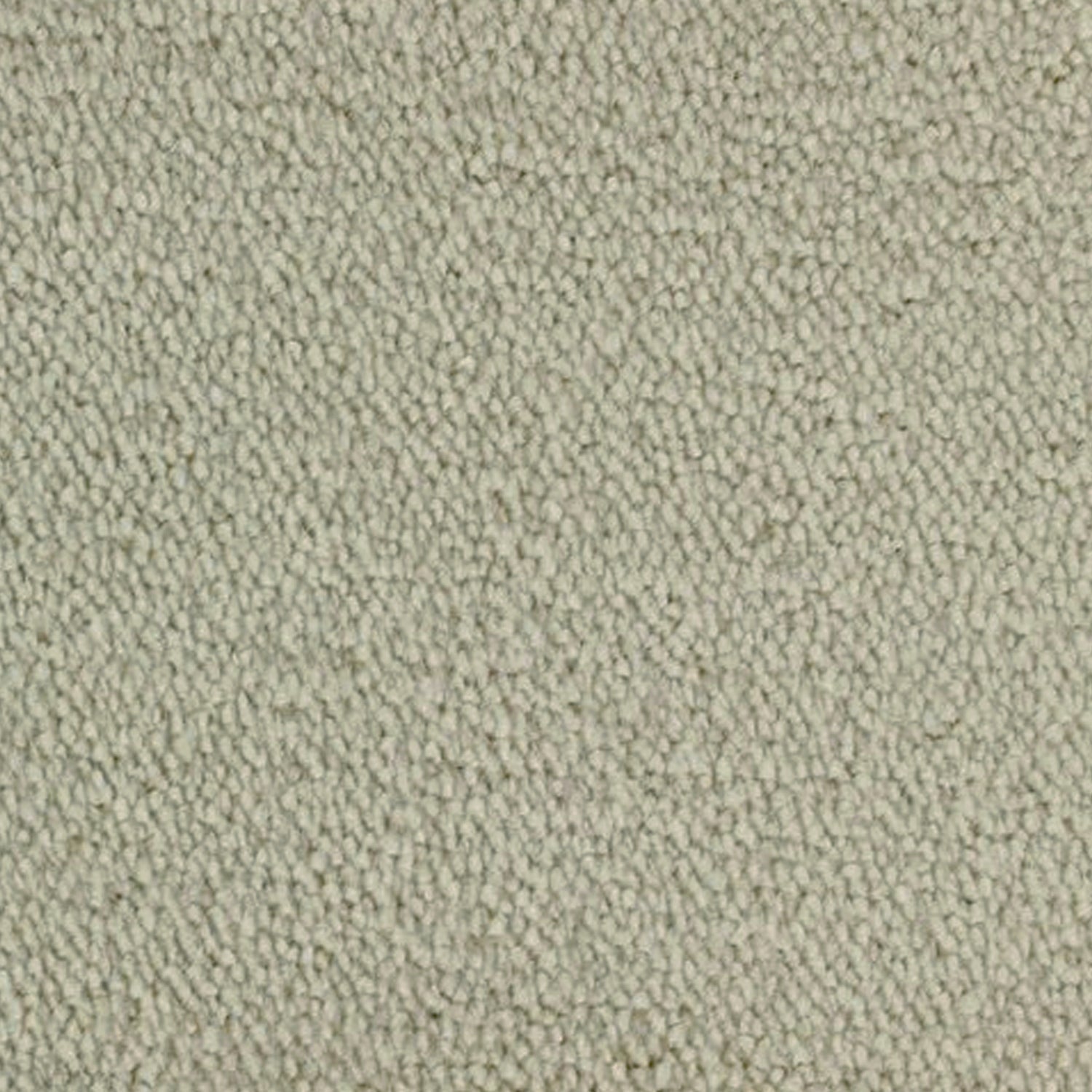 Telenzo Breeze 100% Nylon Velvet Carpet