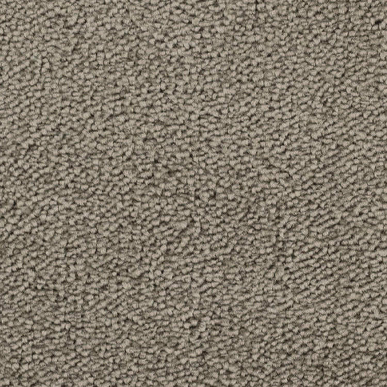 Telenzo Breeze 100% Nylon Velvet Carpet