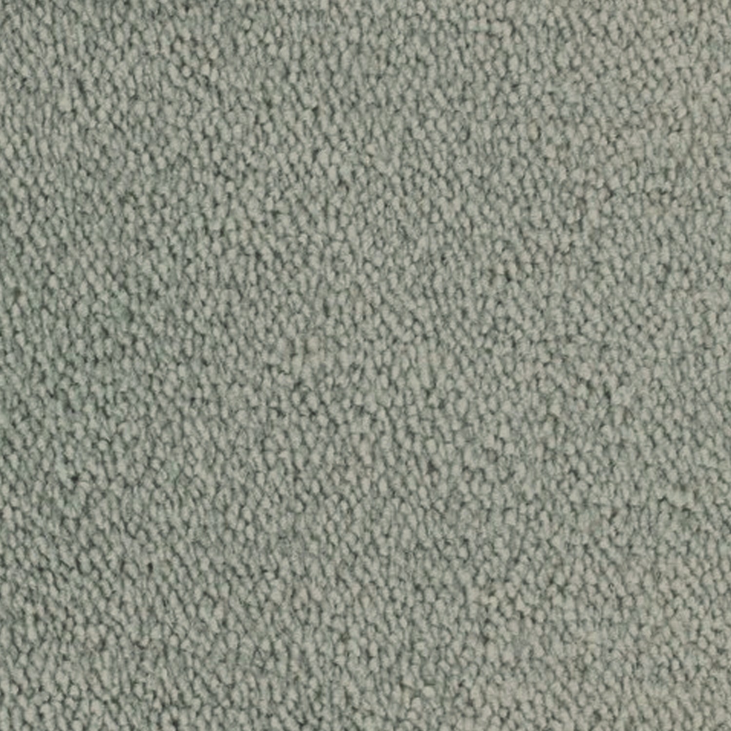 Telenzo Breeze 100% Nylon Velvet Carpet