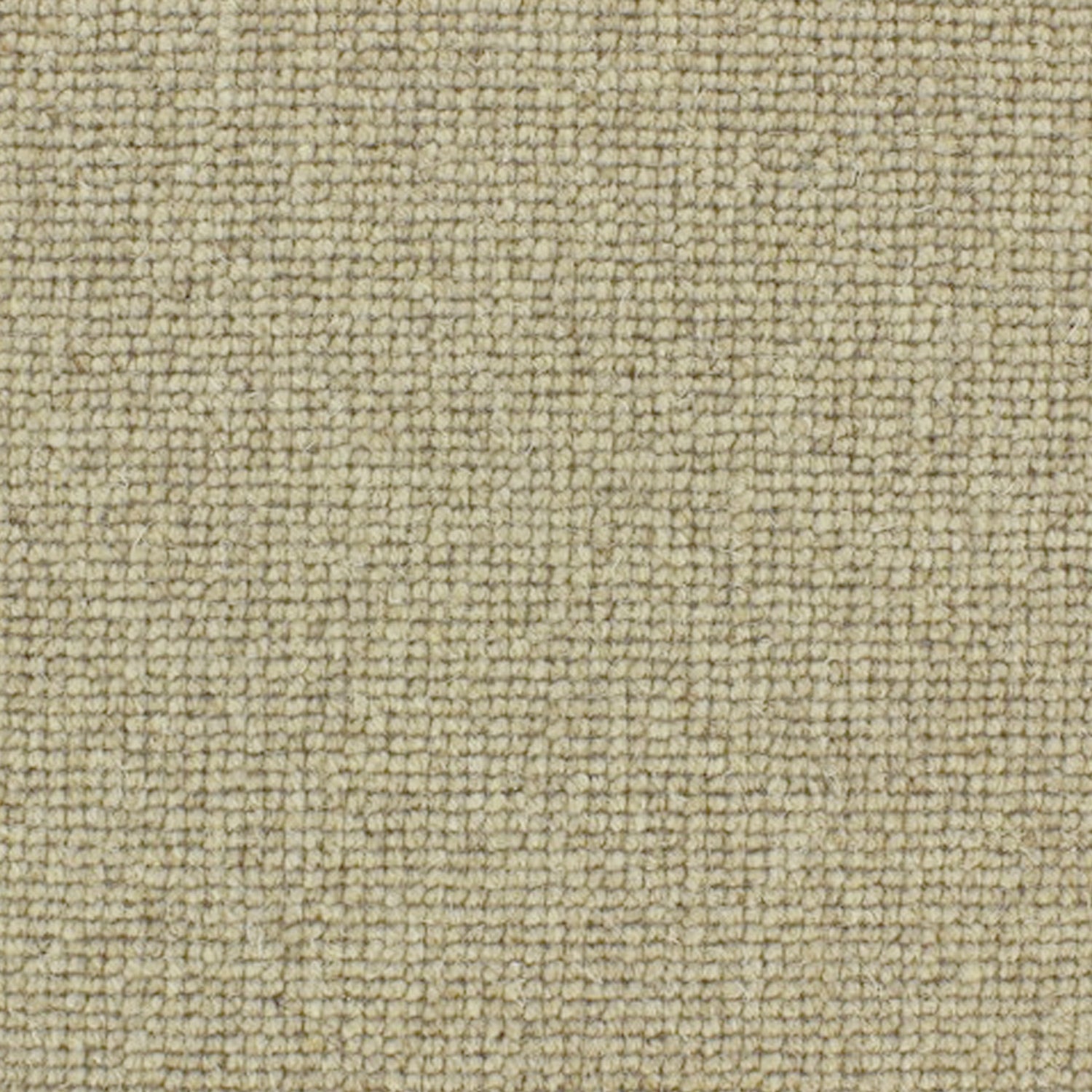 Telenzo Carpets Centre Point 100% Wool Loop Carpet