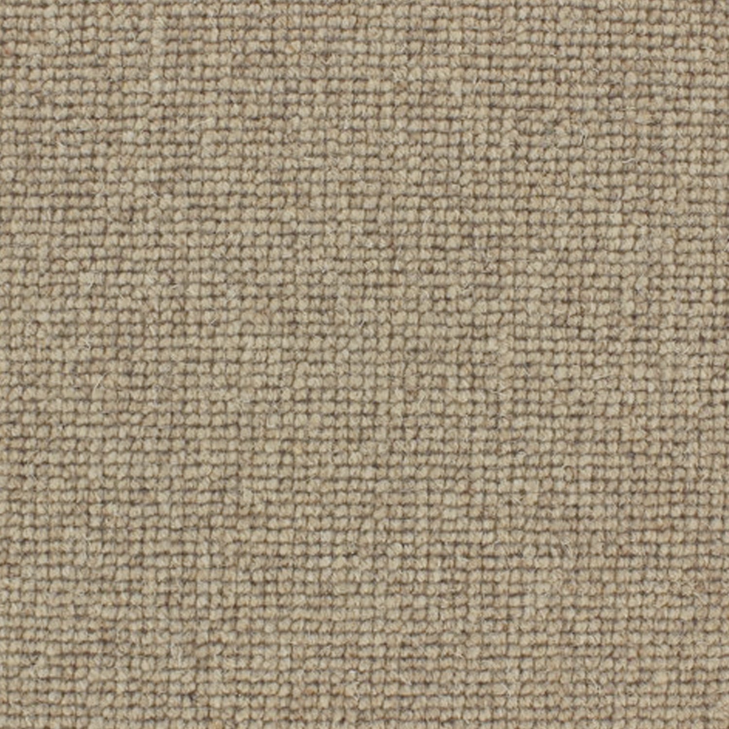 Telenzo Carpets Centre Point 100% Wool Loop Carpet