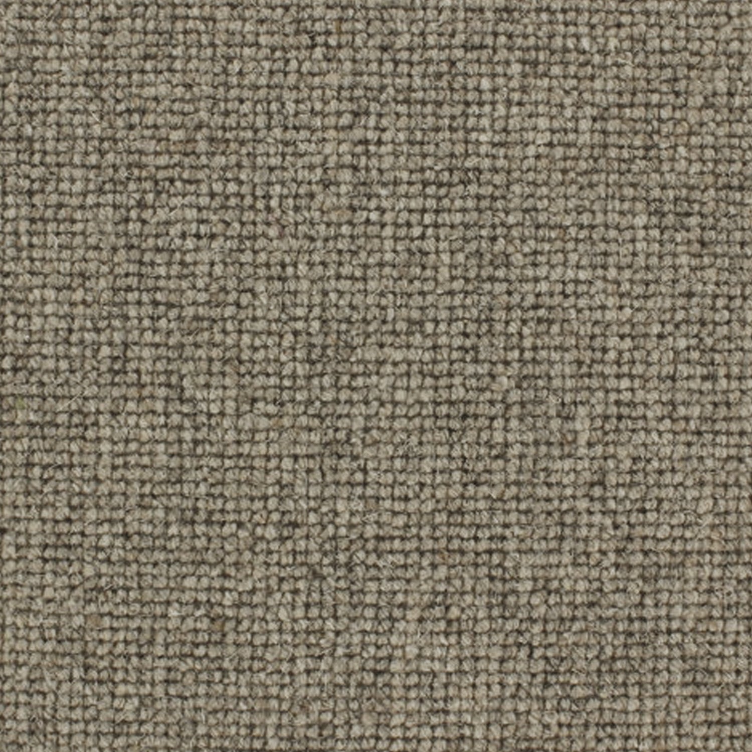Telenzo Carpets Centre Point 100% Wool Loop Carpet