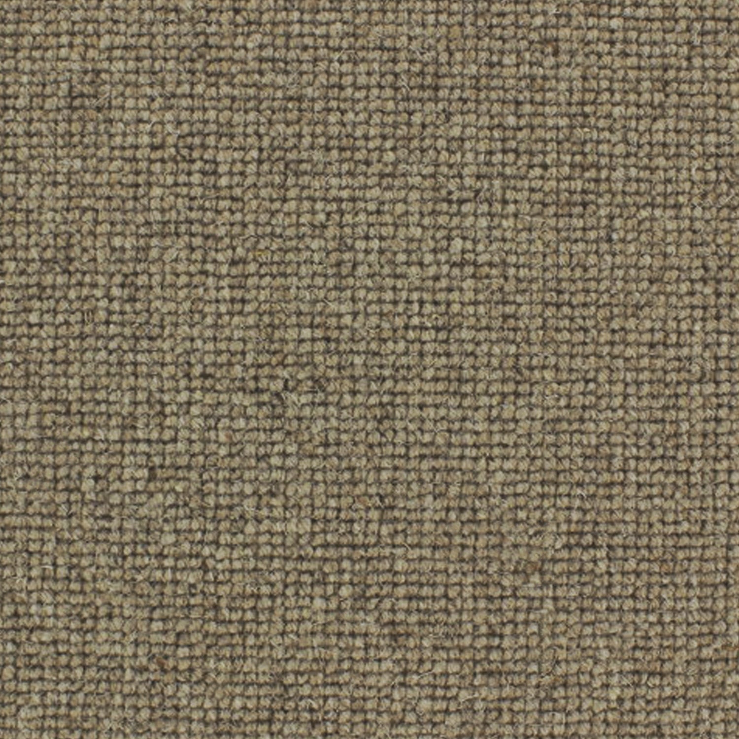 Telenzo Carpets Centre Point 100% Wool Loop Carpet