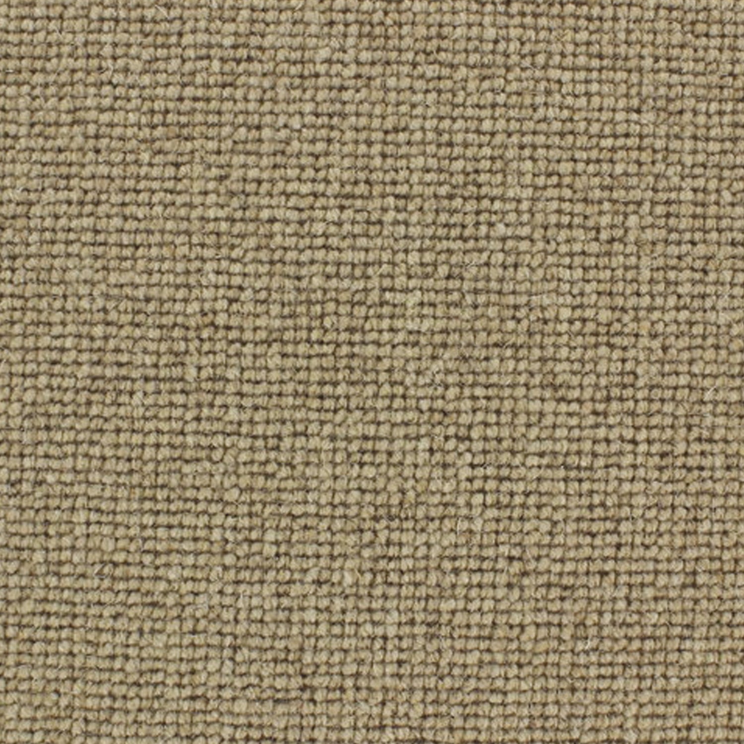 Telenzo Carpets Centre Point 100% Wool Loop Carpet