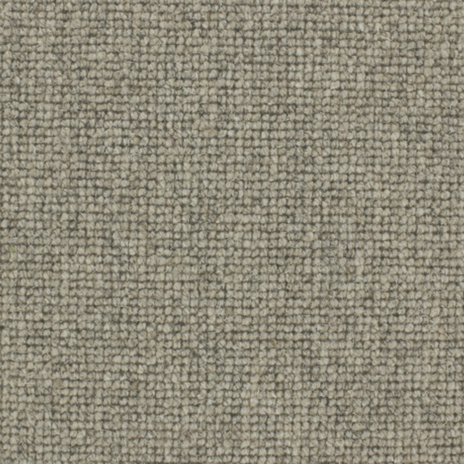 Telenzo Carpets Centre Point 100% Wool Loop Carpet