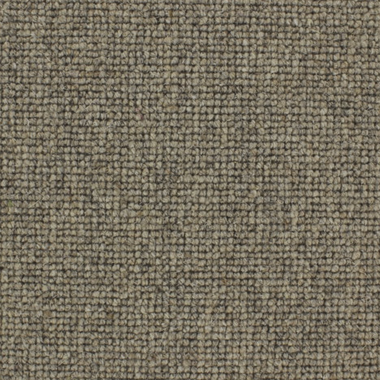 Telenzo Carpets Centre Point 100% Wool Loop Carpet