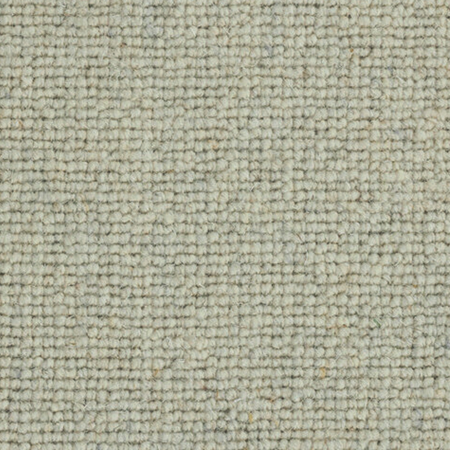 Telenzo Carpets Centre Point 100% Wool Loop Carpet