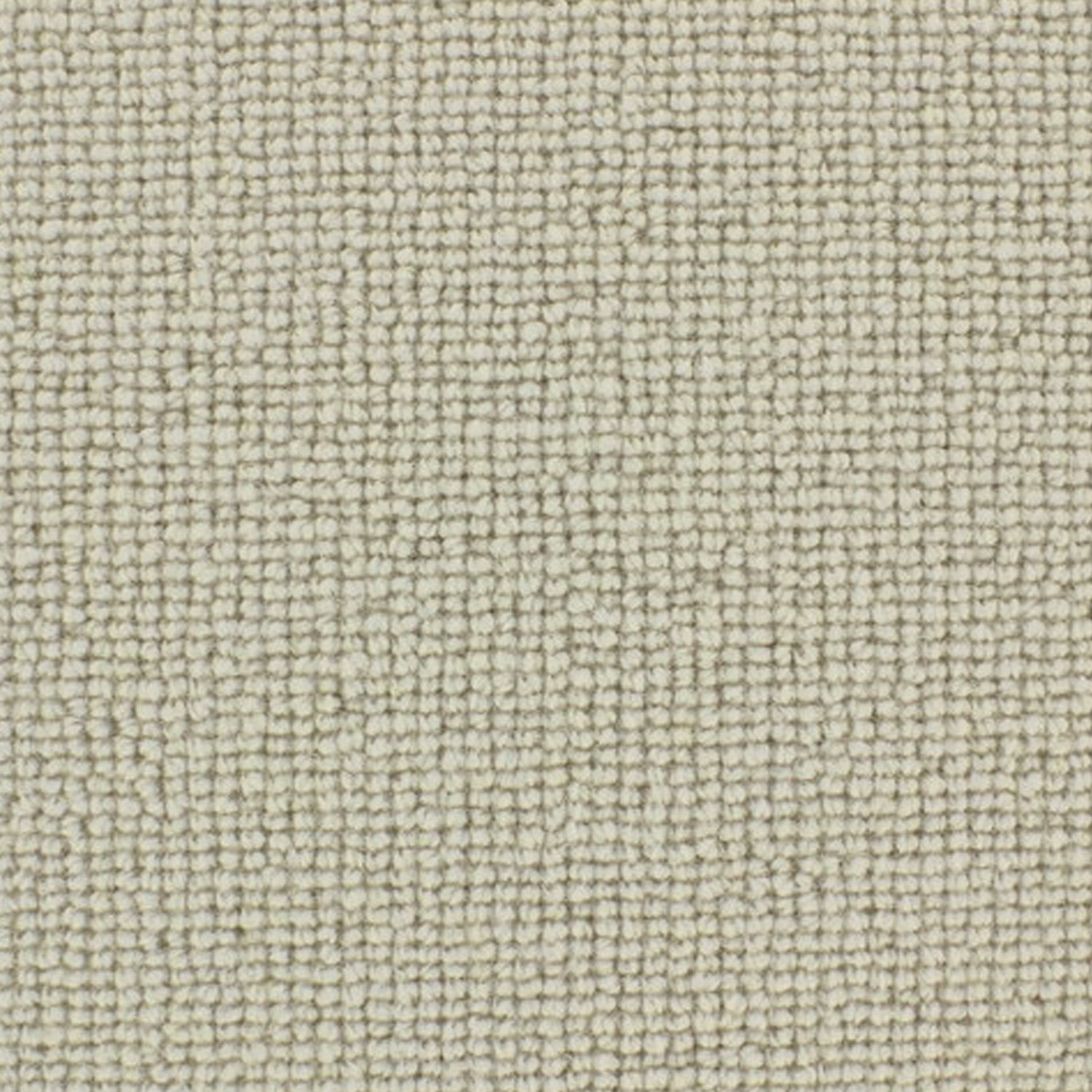 Telenzo Chelsea 100% Wool Loop Carpet