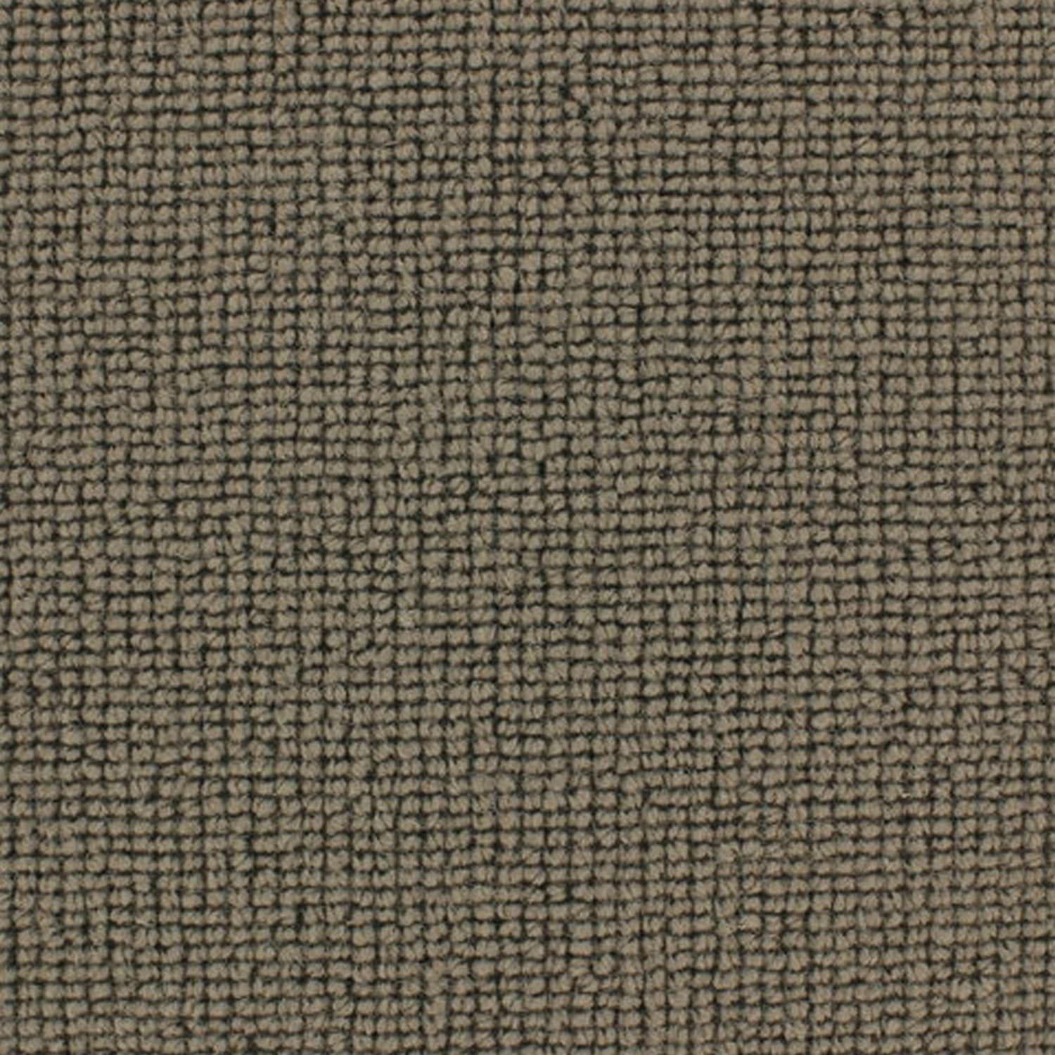 Telenzo Chelsea 100% Wool Loop Carpet