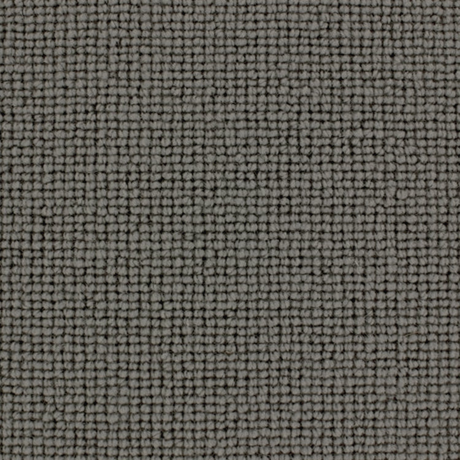 Telenzo Chelsea 100% Wool Loop Carpet