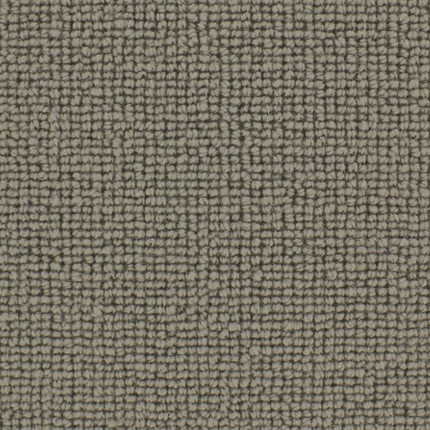 Telenzo Chelsea 100% Wool Loop Carpet