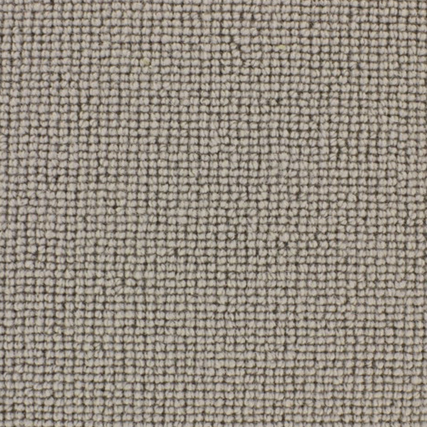 Telenzo Chelsea 100% Wool Loop Carpet
