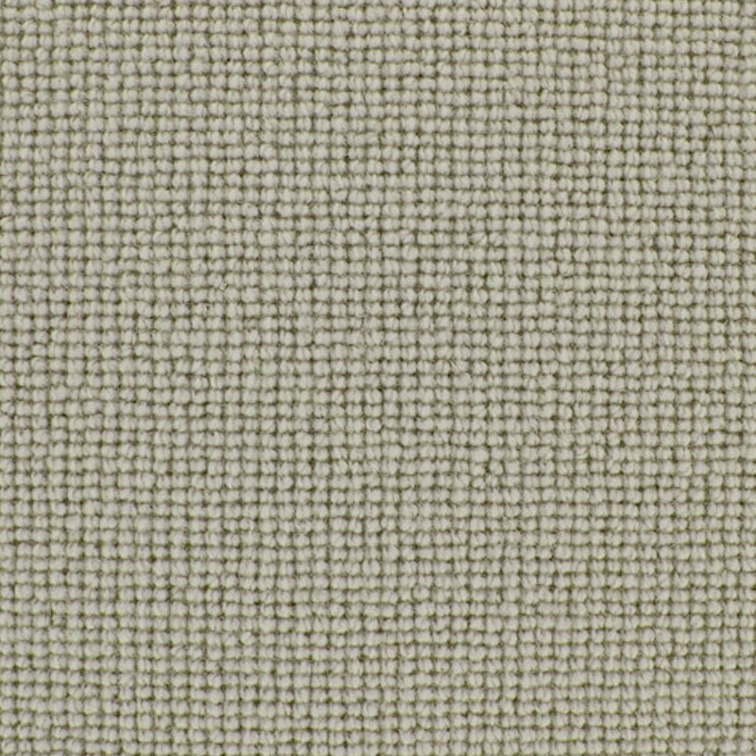 Telenzo Chelsea 100% Wool Loop Carpet
