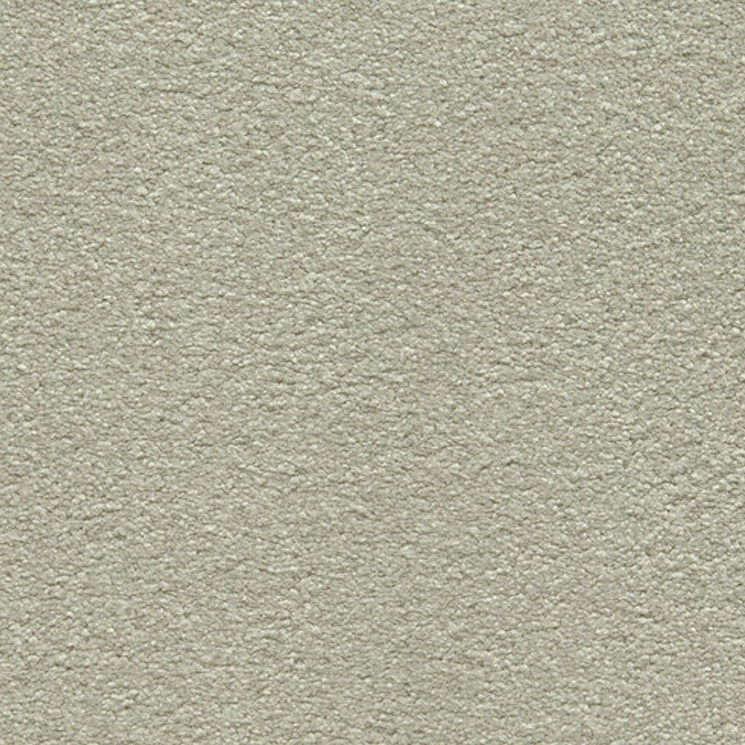 Telenzo Cloud 100% Nylon Velvet Carpet