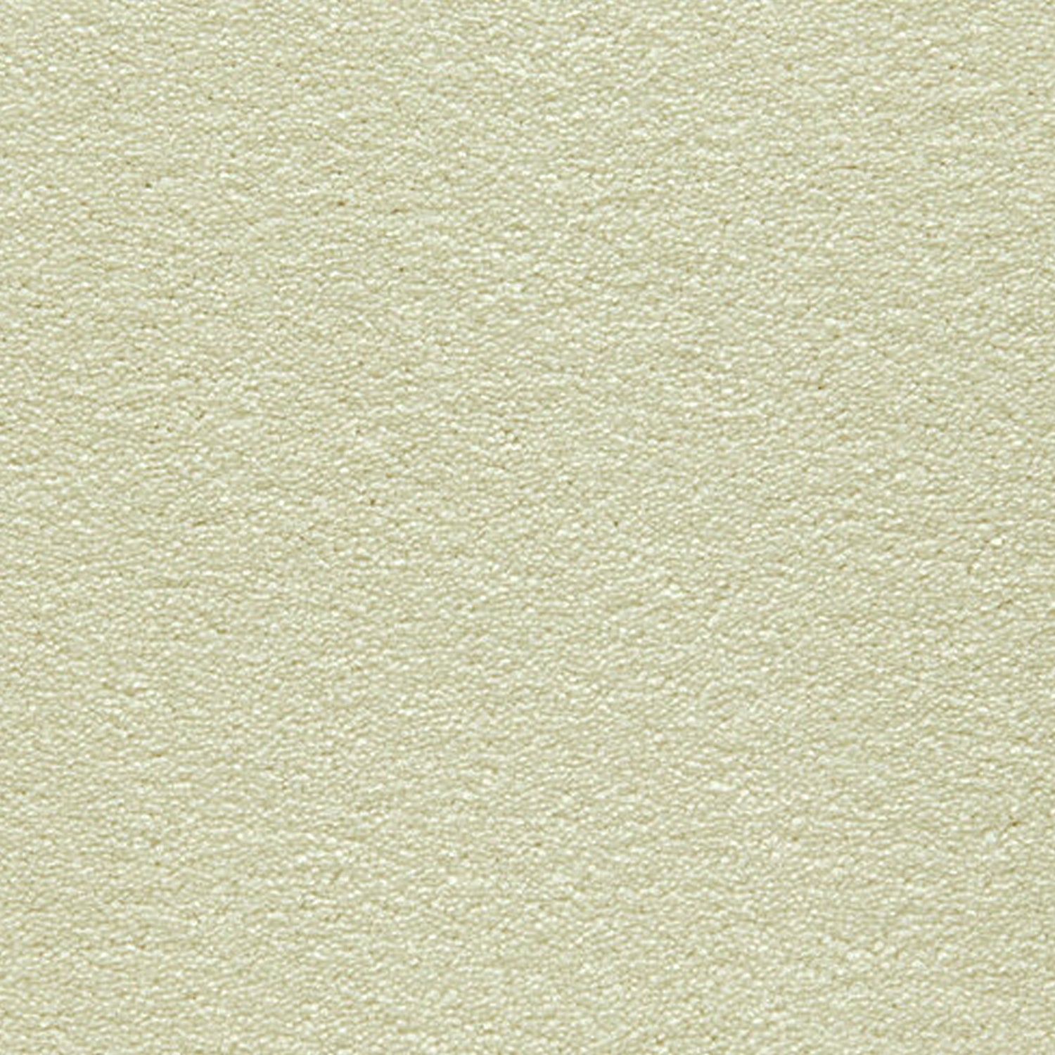 Telenzo Cloud 100% Nylon Velvet Carpet