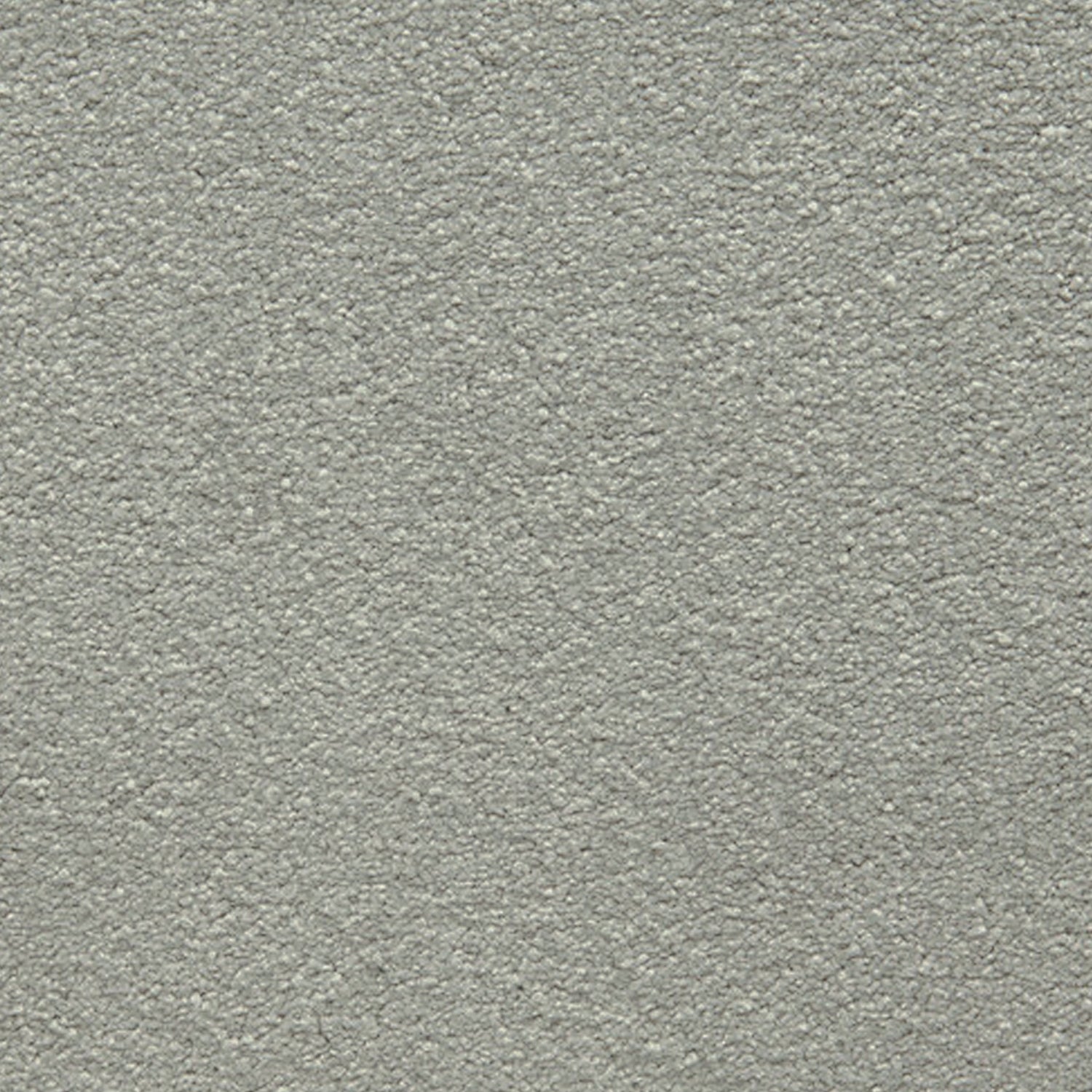 Telenzo Cloud 100% Nylon Velvet Carpet