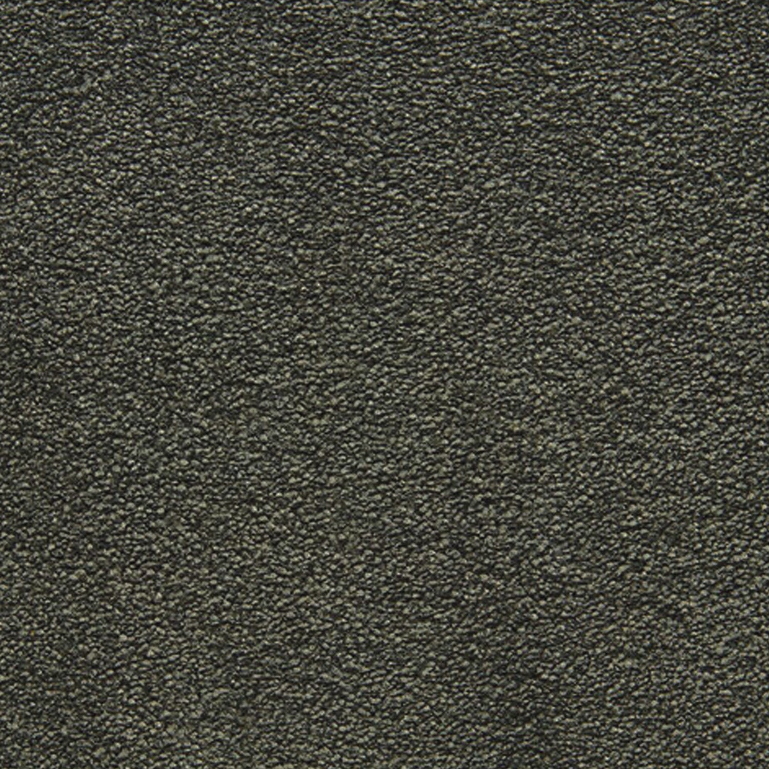 Telenzo Cloud 100% Nylon Velvet Carpet