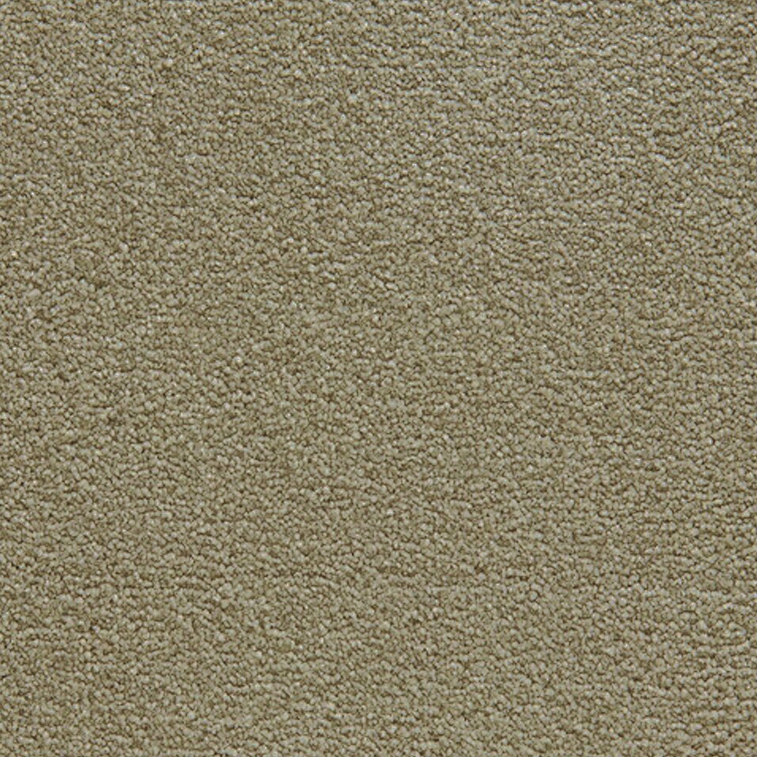 Telenzo Cloud 100% Nylon Velvet Carpet