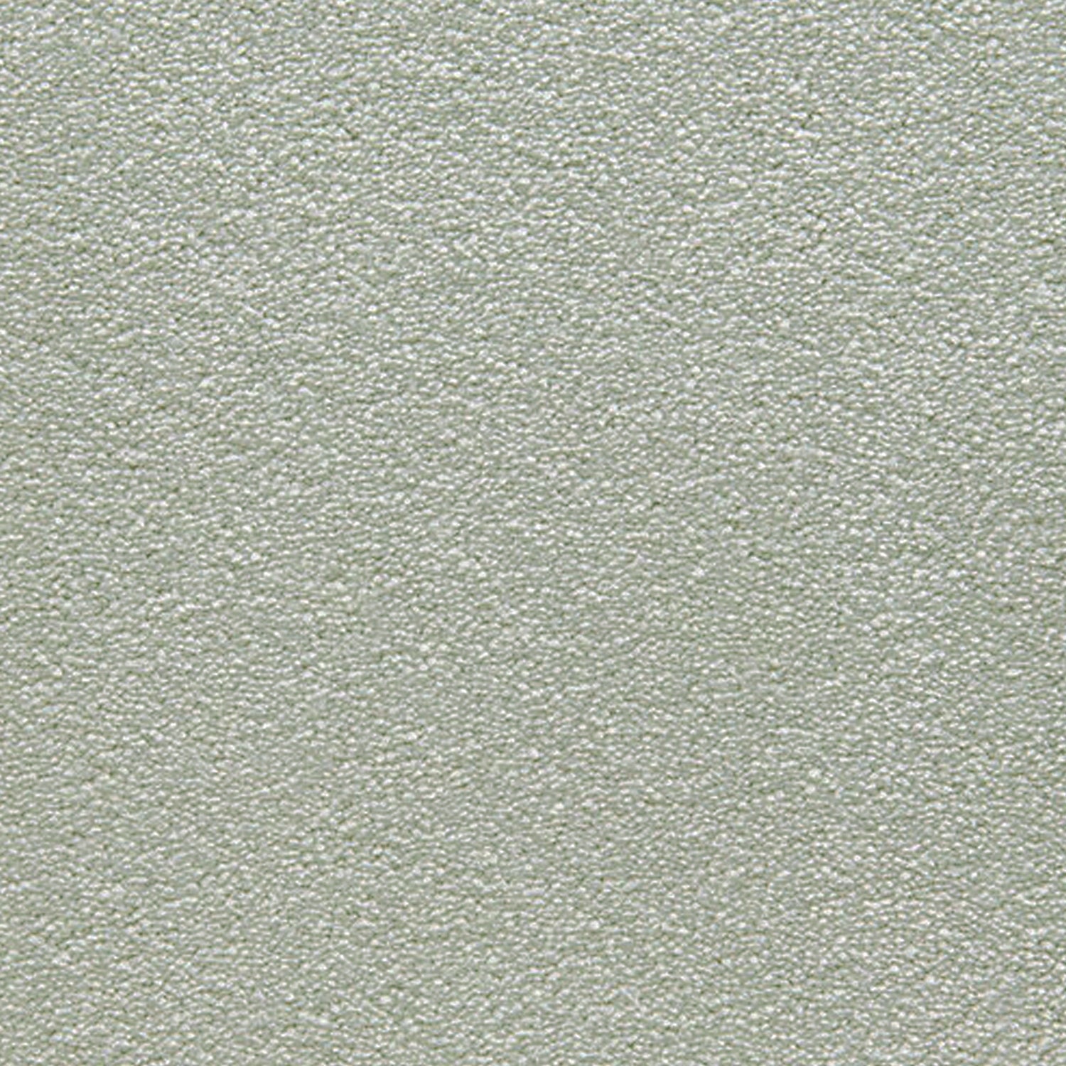 Telenzo Cloud 100% Nylon Velvet Carpet