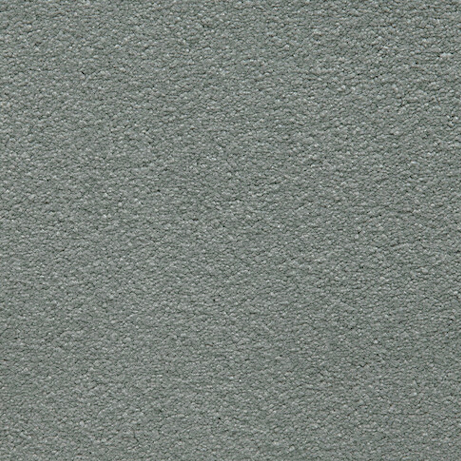 Telenzo Cloud 100% Nylon Velvet Carpet
