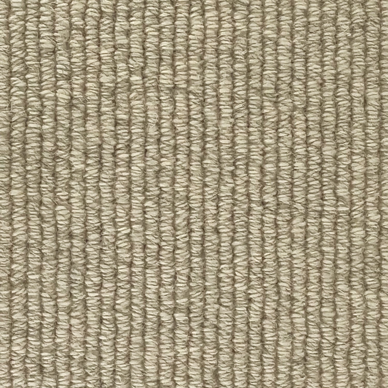 Telenzo Cormo 100% Wool Loop Carpet