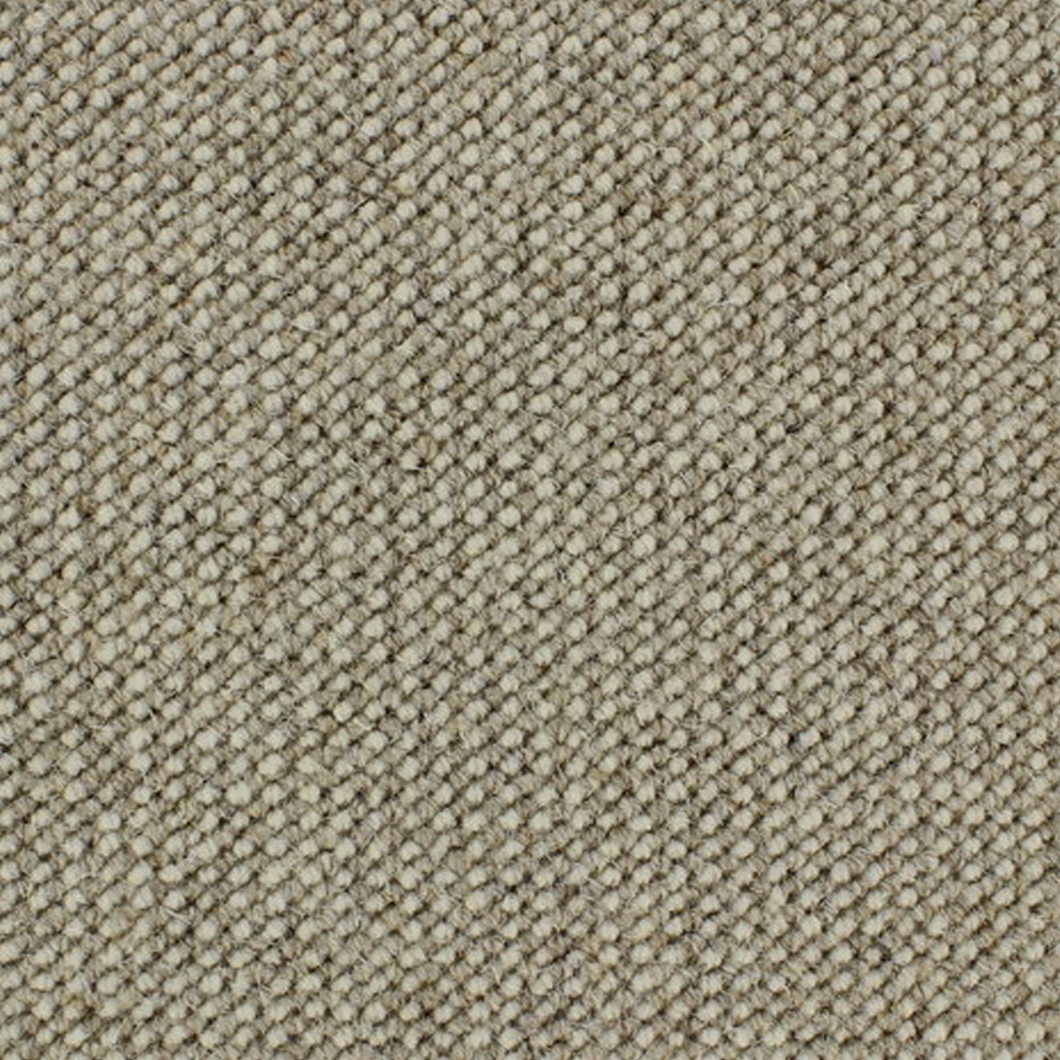 Telenzo Diversity 100% Wool Loop Carpet