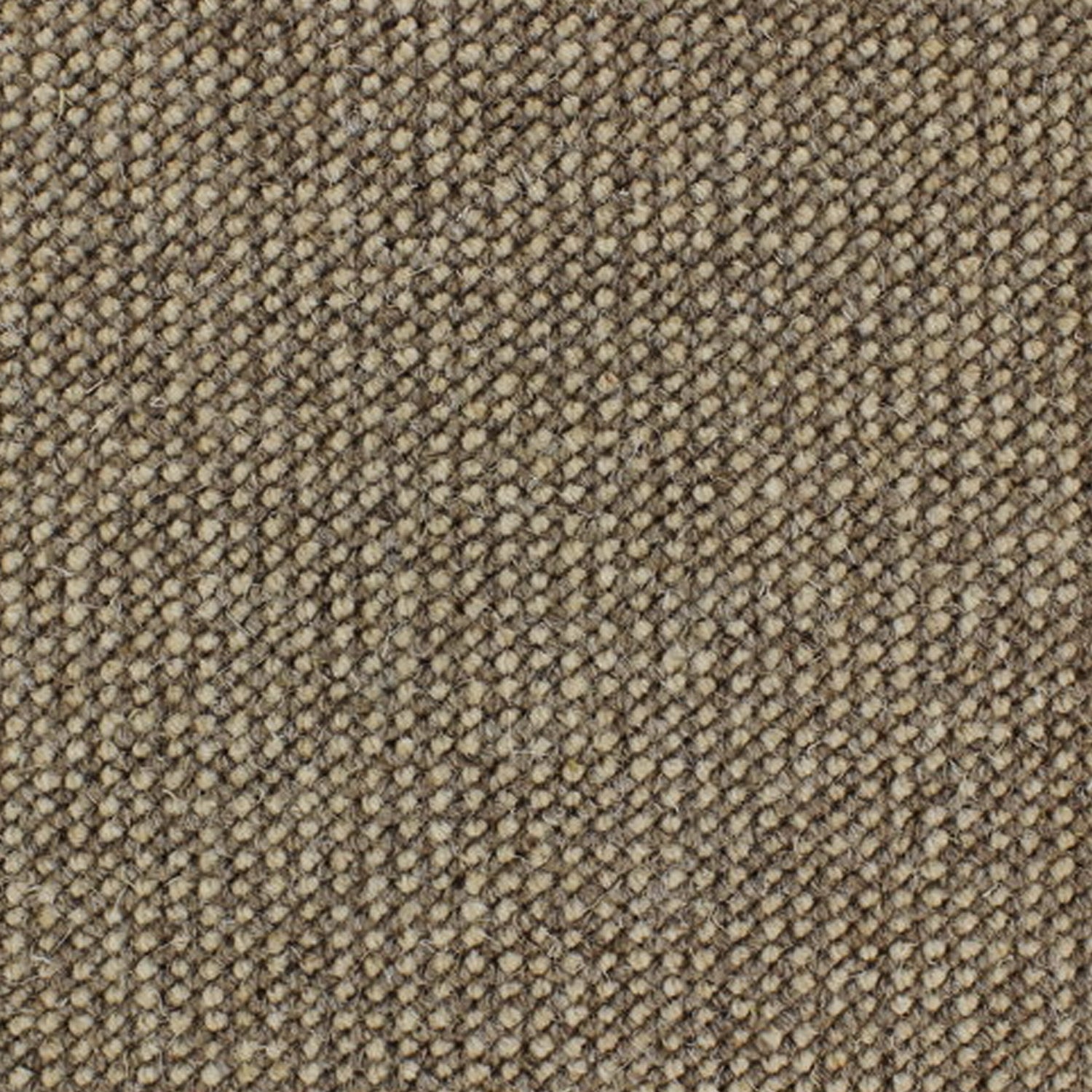 Telenzo Diversity 100% Wool Loop Carpet