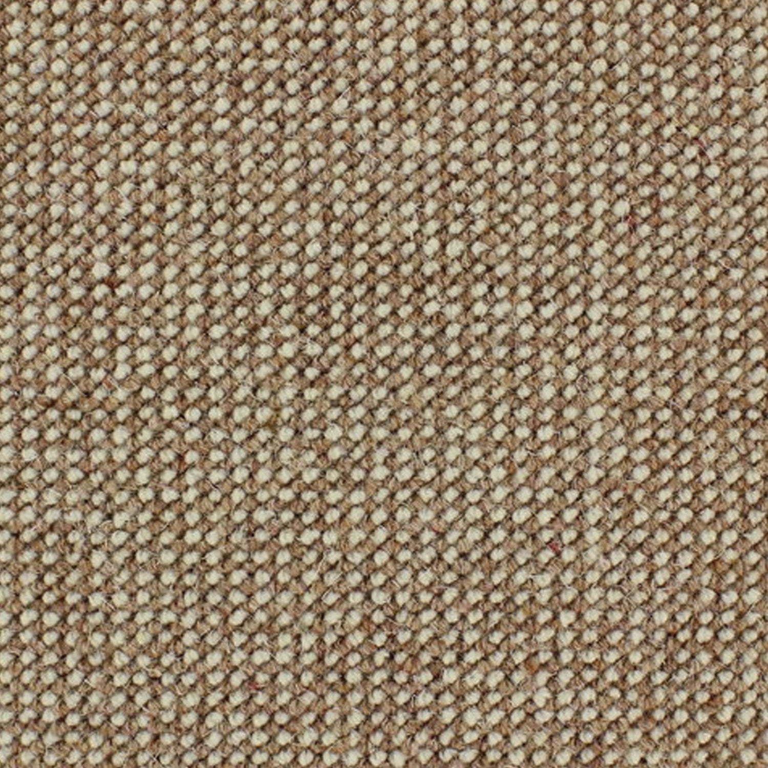 Telenzo Diversity 100% Wool Loop Carpet