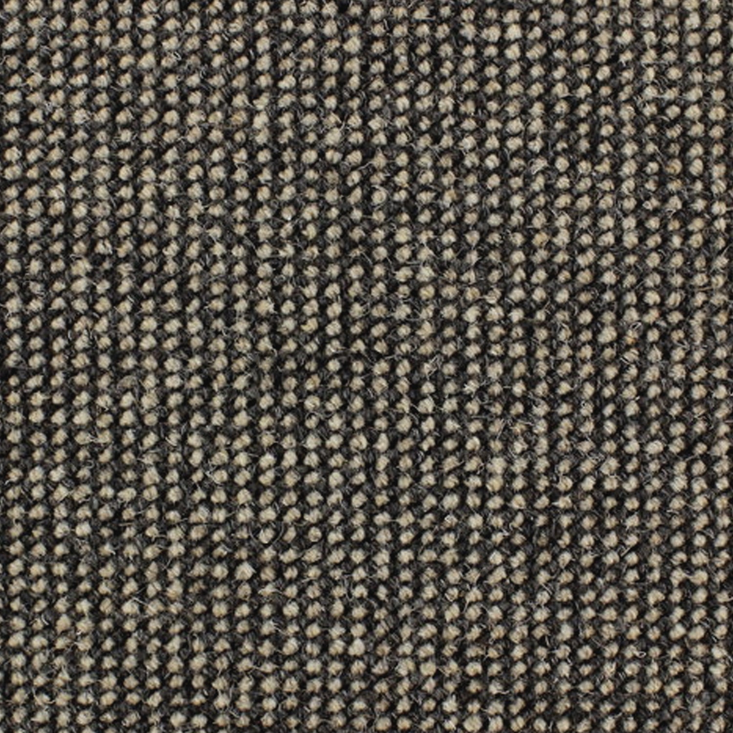 Telenzo Diversity 100% Wool Loop Carpet