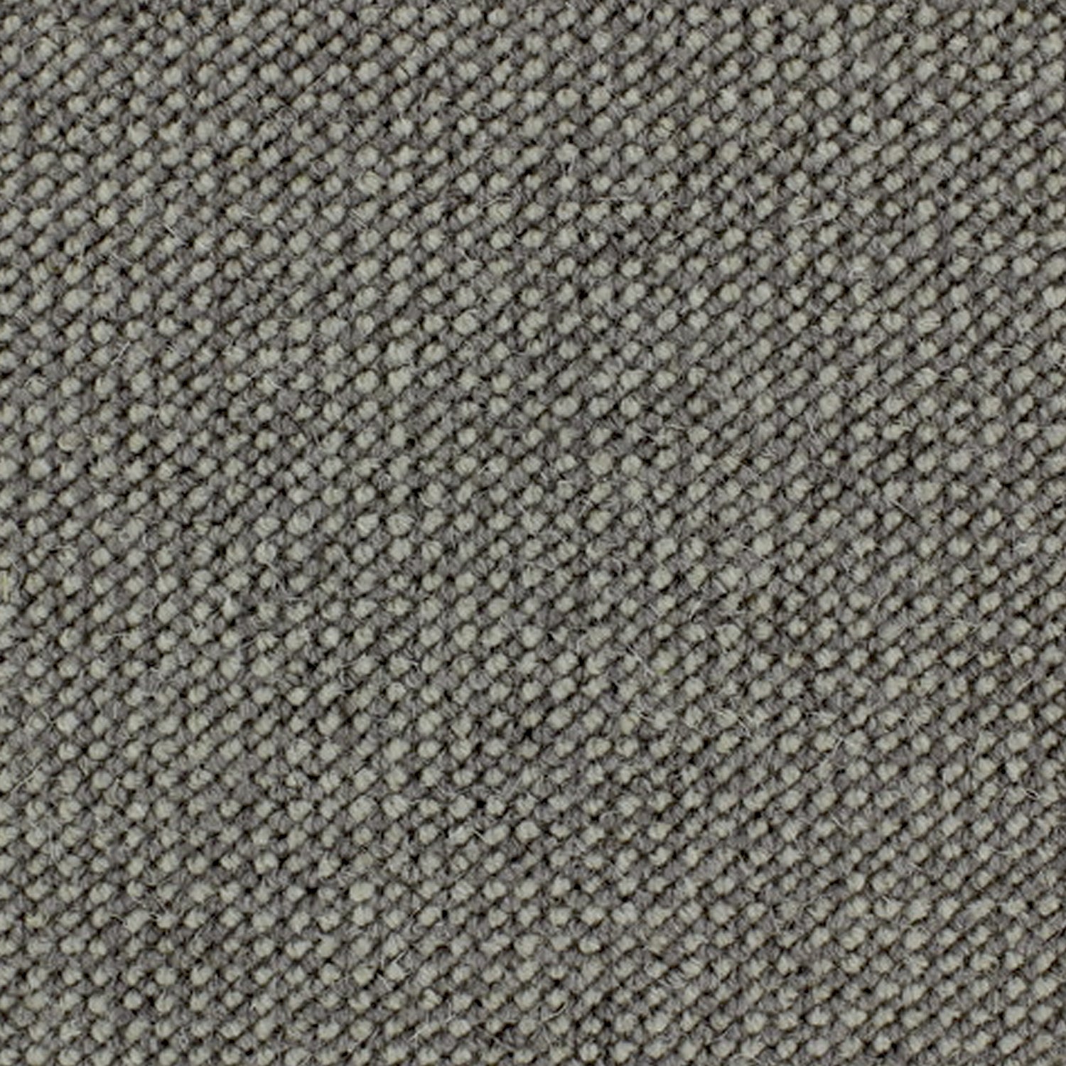 Telenzo Diversity 100% Wool Loop Carpet